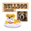 Bulldog Float 53 pulgadas gigante inflable piscina_5