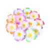 Pursuestar 50 pinzas de pelo de espuma hawaiana Frangipani