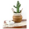 BlueMake Canasta tejida para almacenar plantas o