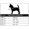 PETFAVORITES Breakaway Bowtie Collar de gato con campana