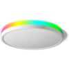 Taloya Lámpara de techo inteligente LED WiFi compatible_1