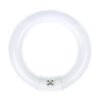Bulbmaster FC8T9D Bombilla circular fluorescente redonda
