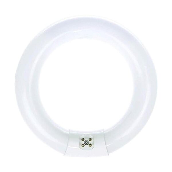 Bulbmaster FC8T9D Bombilla circular fluorescente redonda