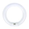 Bulbmaster FC8T9D Bombilla circular fluorescente redonda