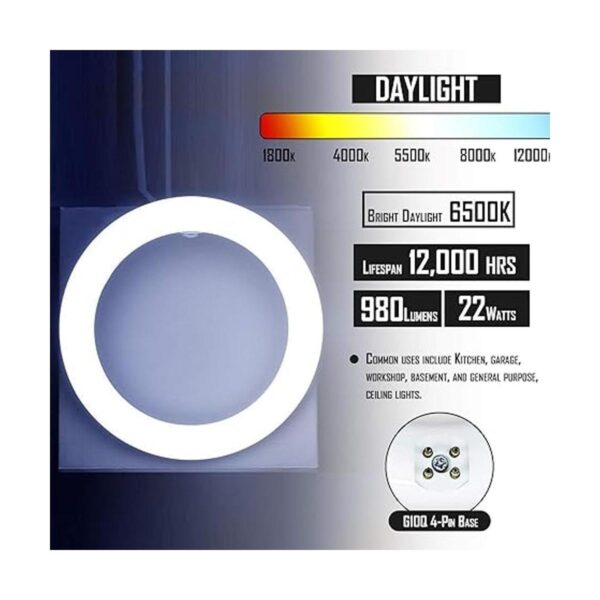 Bulbmaster FC8T9D Bombilla circular fluorescente redonda