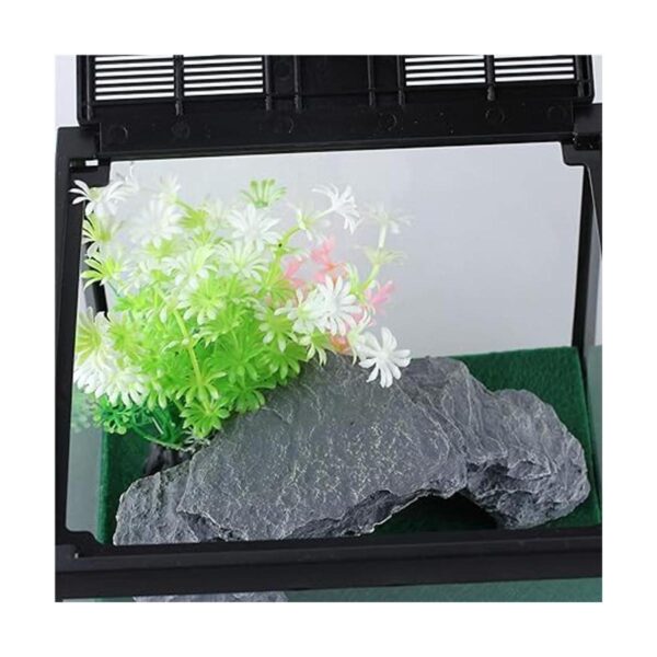 Glass Tank Spider Box Kit for Tarantula Feeder Insects