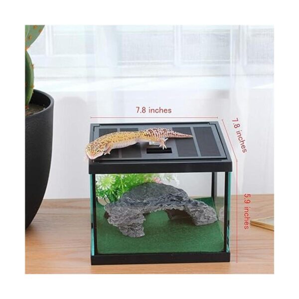 Glass Tank Spider Box Kit for Tarantula Feeder Insects