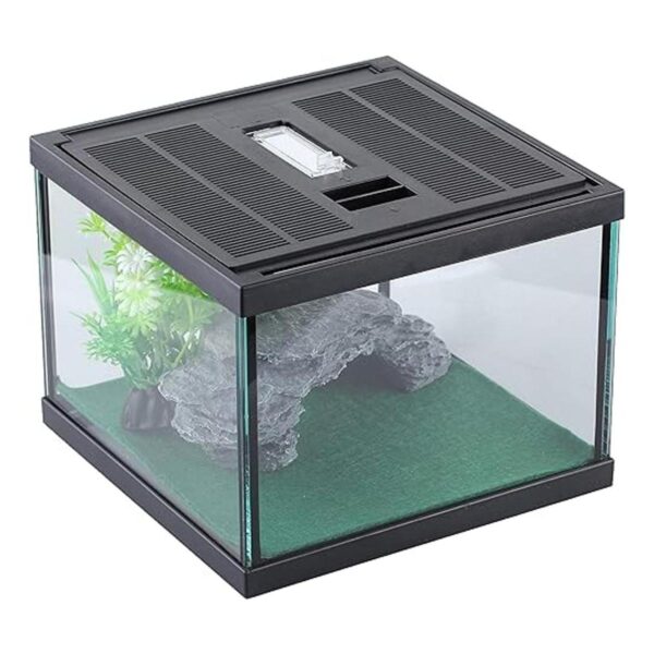 Glass Tank Spider Box Kit for Tarantula Feeder Insects