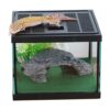 Glass Tank Spider Box Kit for Tarantula Feeder Insects
