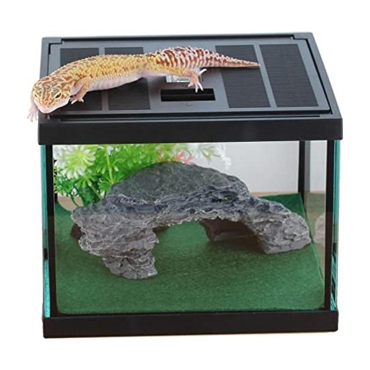 Glass Tank Spider Box Kit for Tarantula Feeder Insects