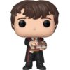 Funko Pop Harry Potter Harry Potter Libro de Nevilla_1