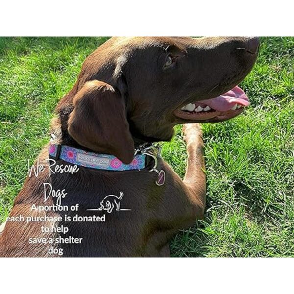 Lucky Love Dog Collar para perras pequeñas medianas y_2