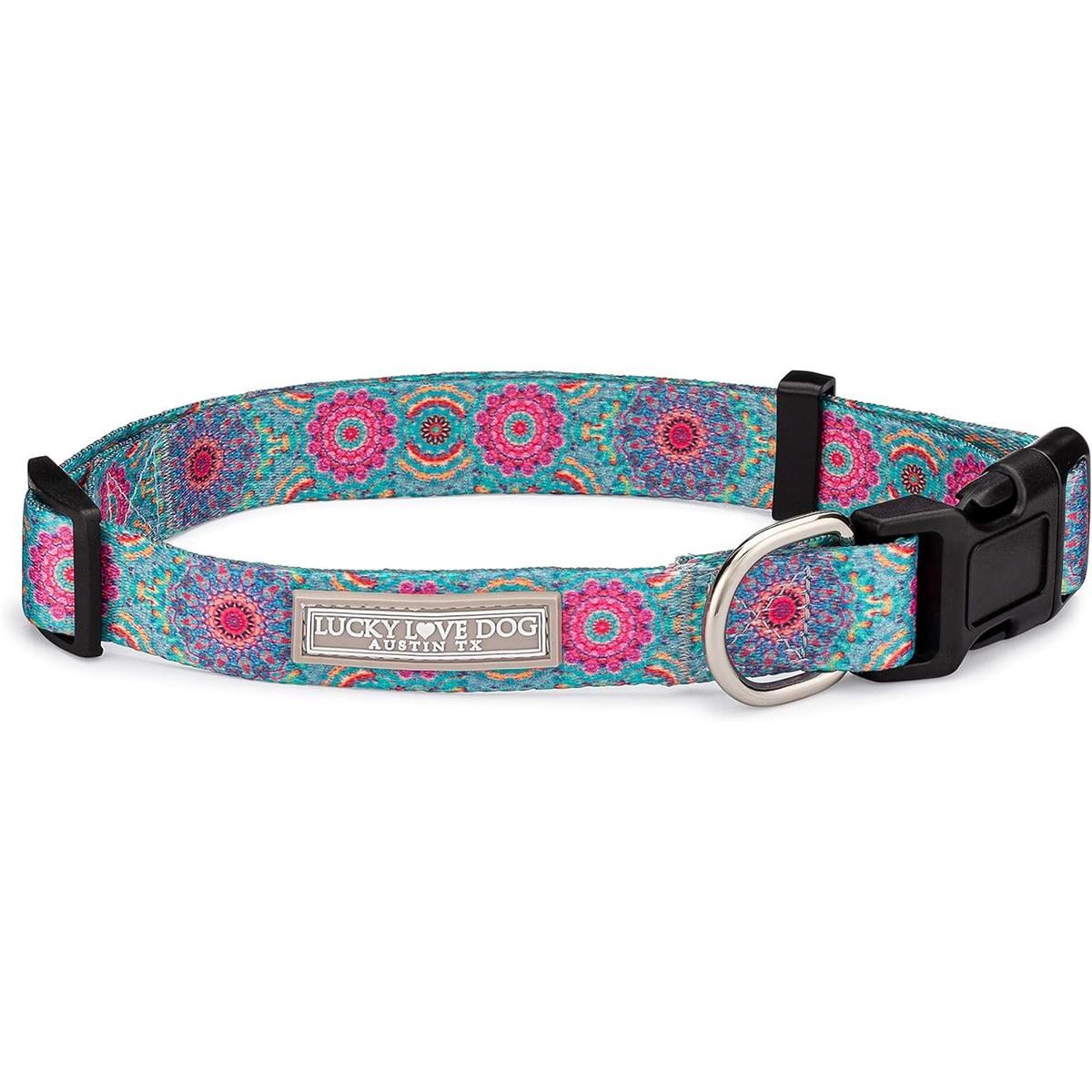 Lucky Love Dog Collar para perras pequeñas medianas y