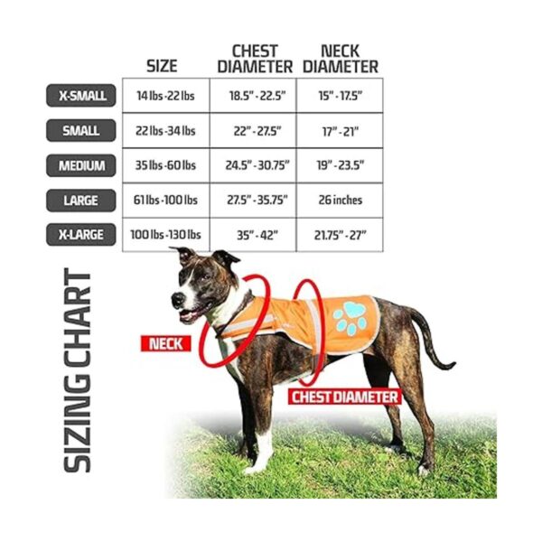Chaleco reflectante para perro tamaños para perros de 14_2