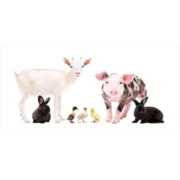 Ambesonne Taza de animales de granja estudio de criaturas_4