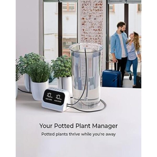 Automatic Watering System for Potted Plants Plant_6