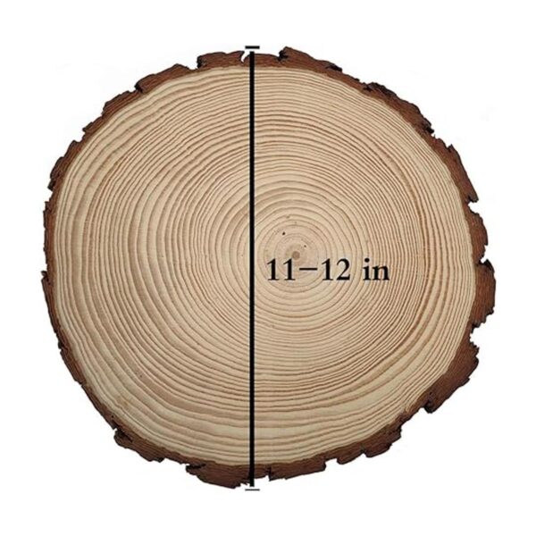 BESTWD 2 rebanadas de madera grandes de 11 a 12 pulgadas