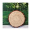 BESTWD 2 rebanadas de madera grandes de 11 a 12 pulgadas