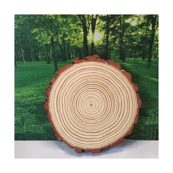 BESTWD 2 rebanadas de madera grandes de 11 a 12 pulgadas