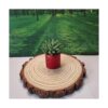 BESTWD 2 rebanadas de madera grandes de 11 a 12 pulgadas