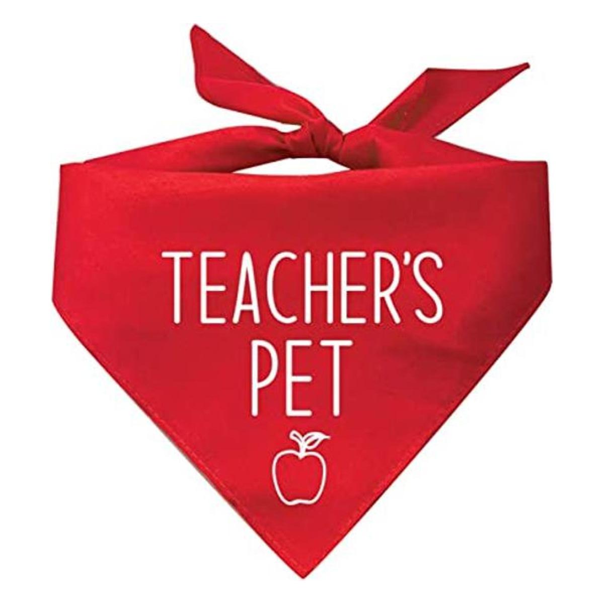 Bandana triangular para perros de Teachers Pet colores