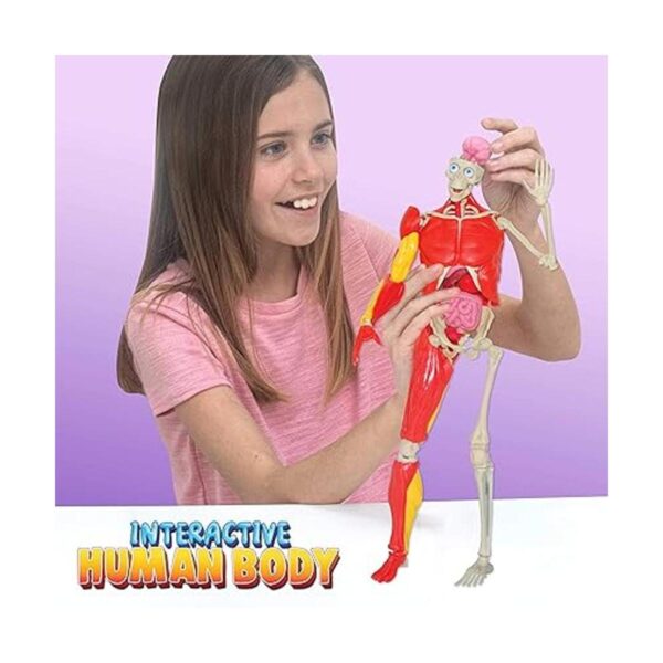 Be Amazing Toys Cuerpo humano interactivo Figura de_6