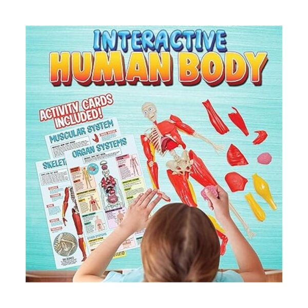 Be Amazing Toys Cuerpo humano interactivo Figura de_5