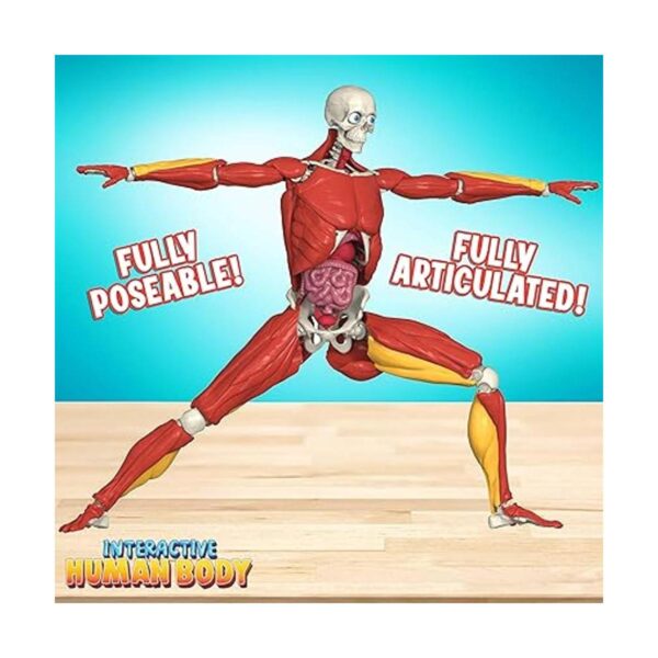 Be Amazing Toys Cuerpo humano interactivo Figura de_3