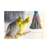 Sweet Feet and Beak Platinum Tweeter Weave Bird Toys_2