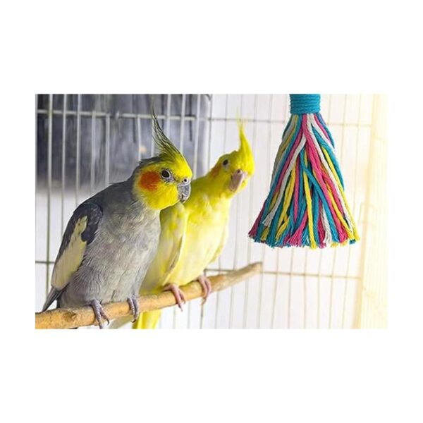 Sweet Feet and Beak Platinum Tweeter Weave Bird Toys_2