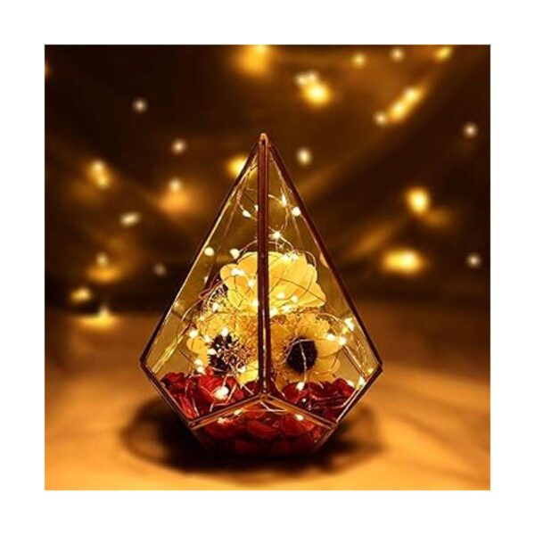 Lyhope 12 paquetes de luces de cadena con pilas 20 LED_4