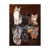 Huacan Kits de pintura de diamantes bricolaje 5D gato