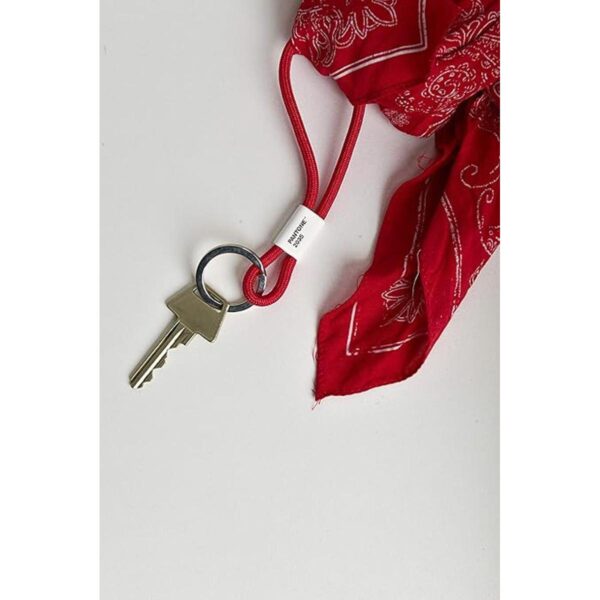 Copenhagen Design PANTONE Llavero S colgador para llaves_4