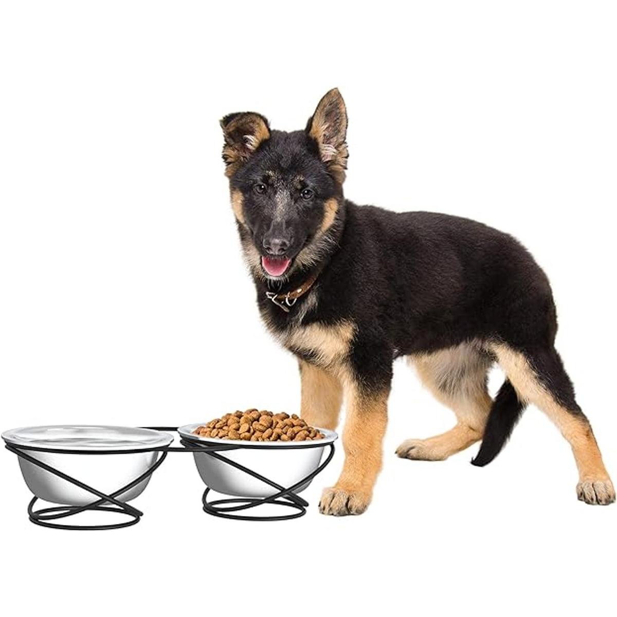 PETMAKER Cuencos elevados de acero inoxidable para