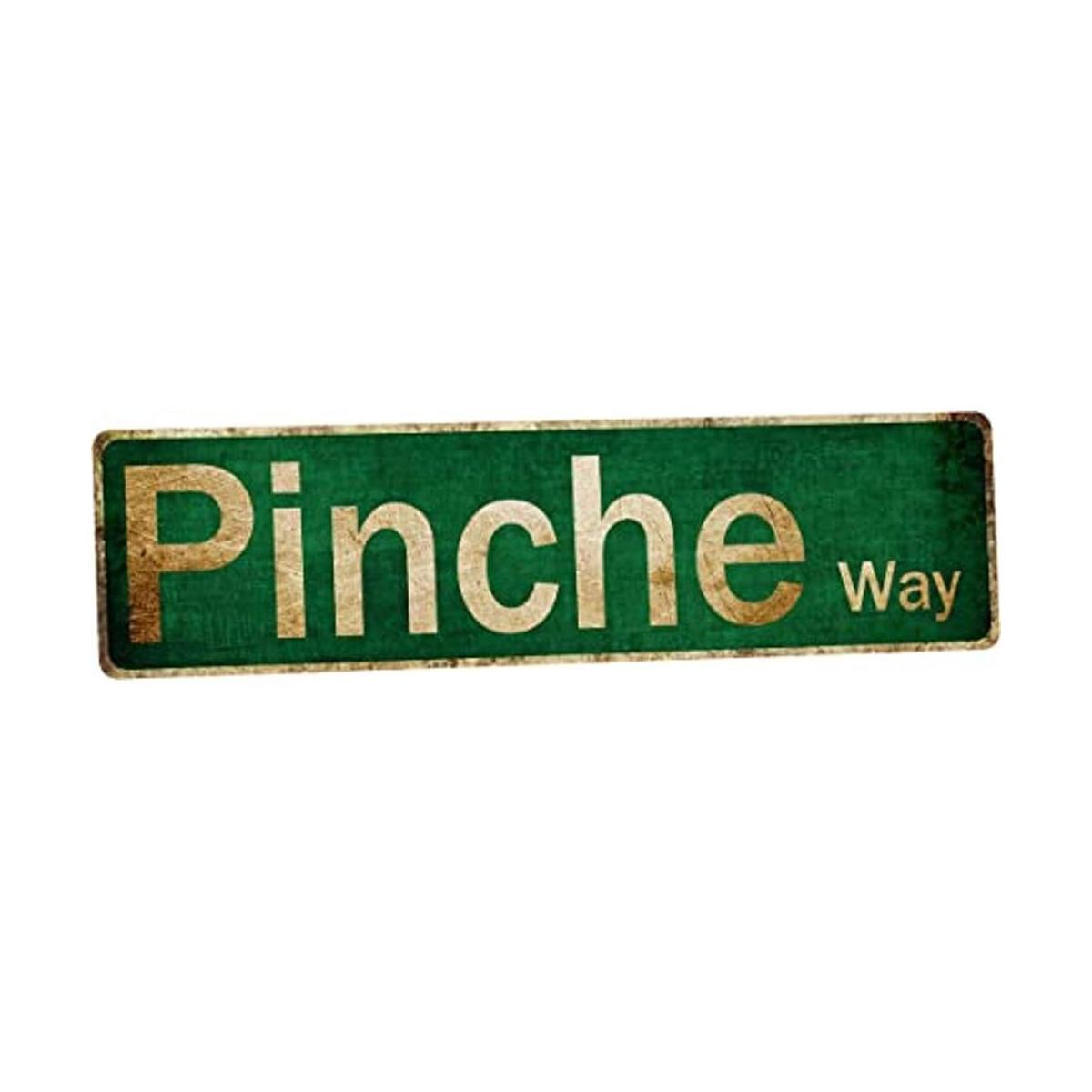 SNOWANG Decor Pinche Letreros de metal vintage de 4 x 16