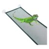 DQITJ 2 piezas de hamaca de reptil camaleón con ventosa_4