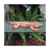 DQITJ 2 piezas de hamaca de reptil camaleón con ventosa_2