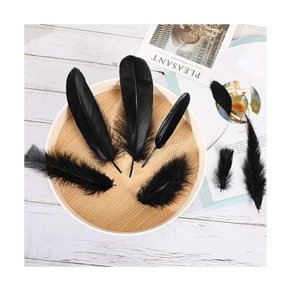 MARFOREVER Plumas negras para manualidades 8 estilos 320_2