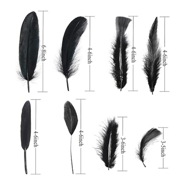 MARFOREVER Plumas negras para manualidades 8 estilos 320_3
