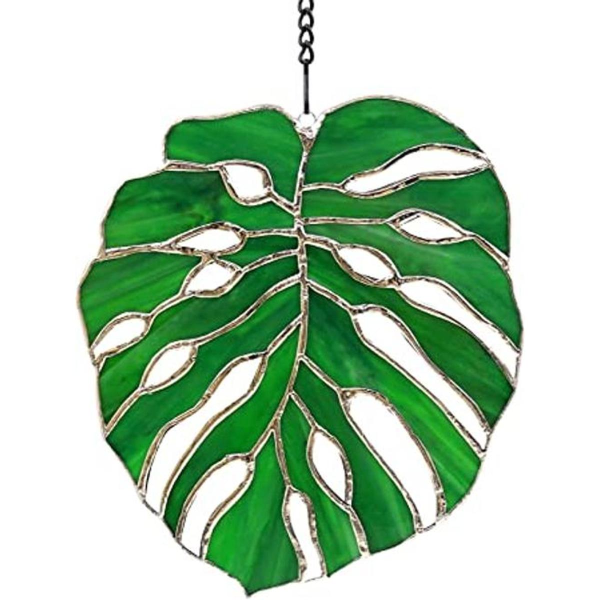 Monstera Suncatcher Hoja de vitral exótica selva