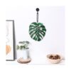 Monstera Suncatcher Hoja de vitral exótica selva_2
