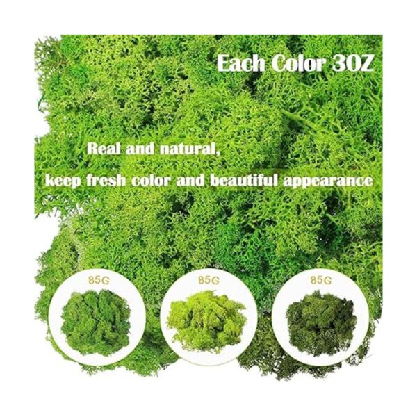 Musgo decorativo artificial preservado verde musgo de 9_2