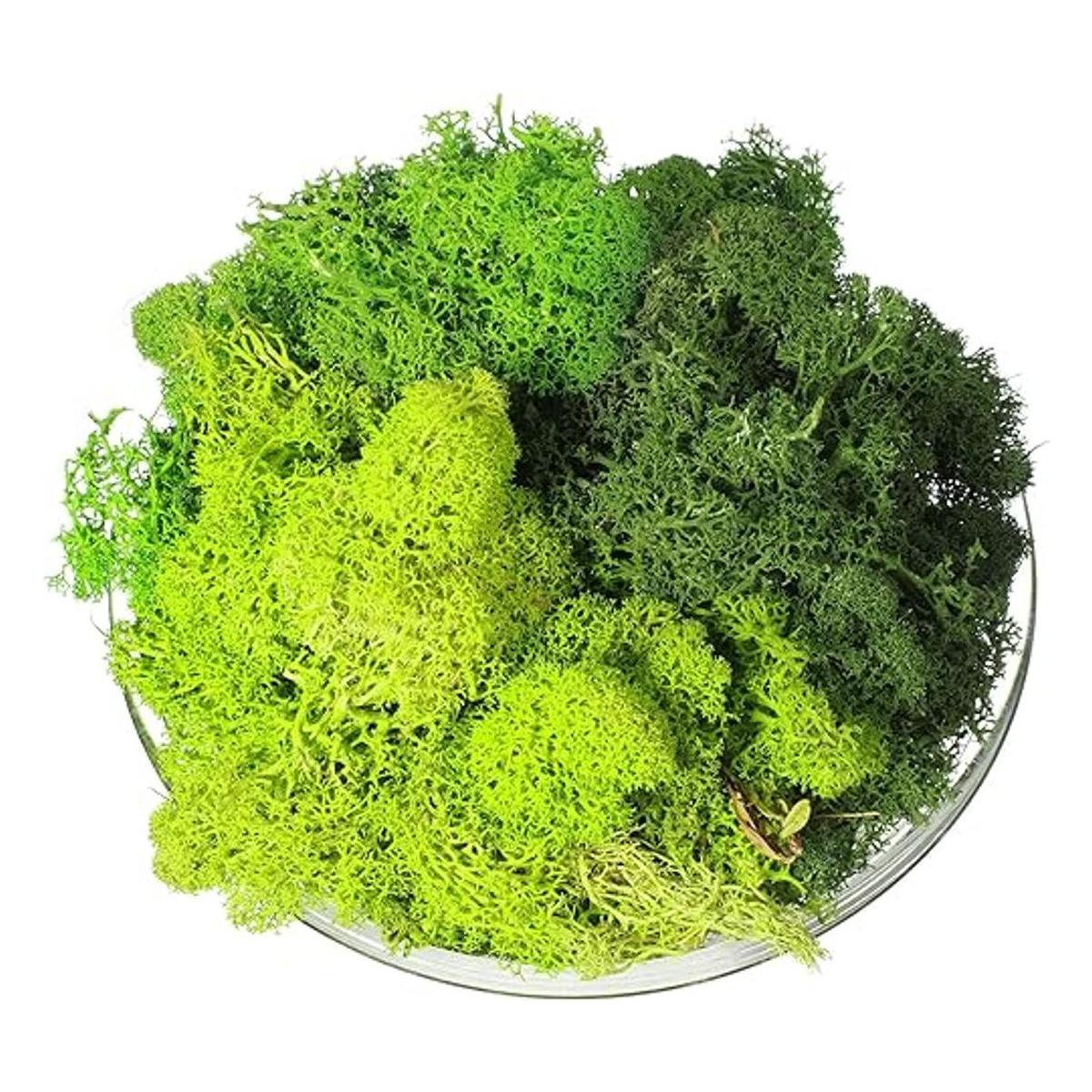 Musgo decorativo artificial preservado verde musgo de 9
