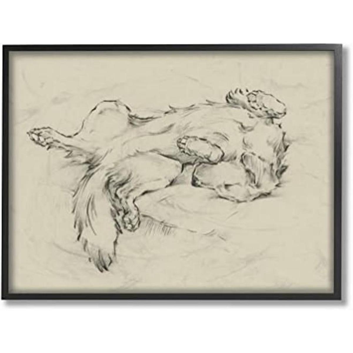 Stupell Industries Dog Napping Pet Animal Dibujo negro