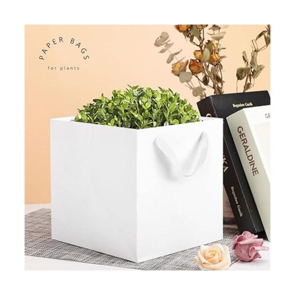 EUSOAR Kraft Bags with Handles 10x10x10 inches Pack of 20