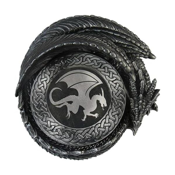 DWK Juego de 4 posavasos absorbentes de dragón con_4