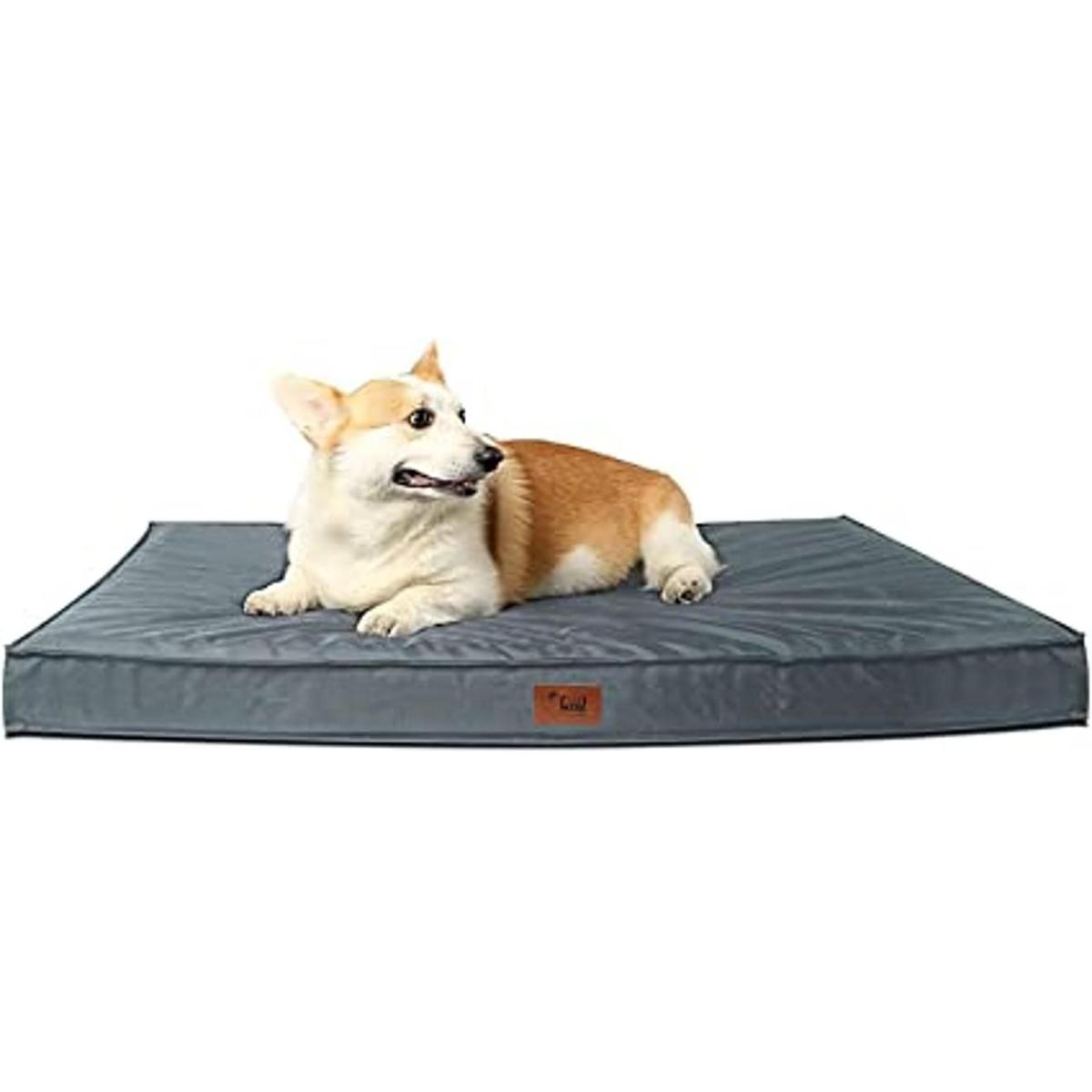 Tail Stories Cama para perros para todo tipo de clima