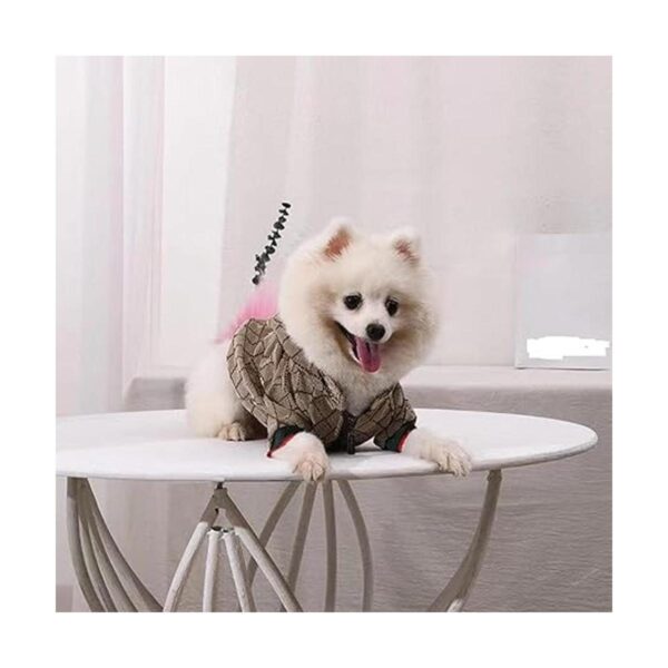 HQREA Dog Hoodie Luxury Dog Clothes Winter Dog Jacket_6