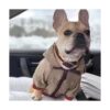 HQREA Dog Hoodie Luxury Dog Clothes Winter Dog Jacket_5
