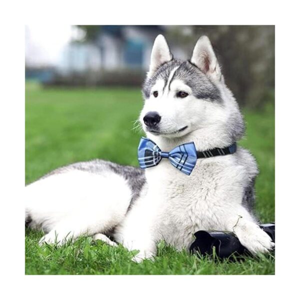 Pajaritas para perro 40 lazos para el cuello de Segarty_2